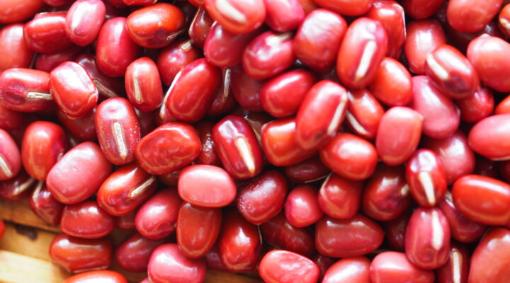 nutritional benefits of azuki