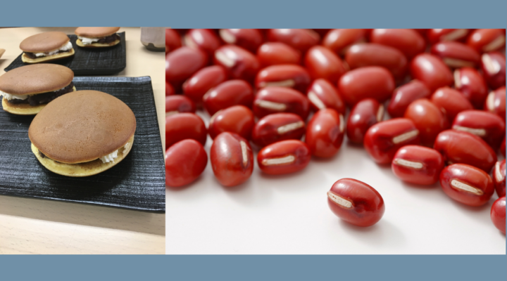 Dorayaki's Amino Acid Score 100