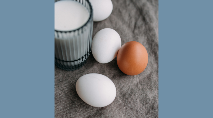 dorayaki-eggless-science